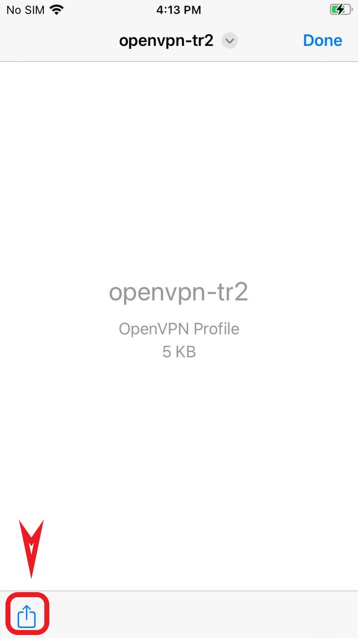 OPENVPN-ios-doc(5)