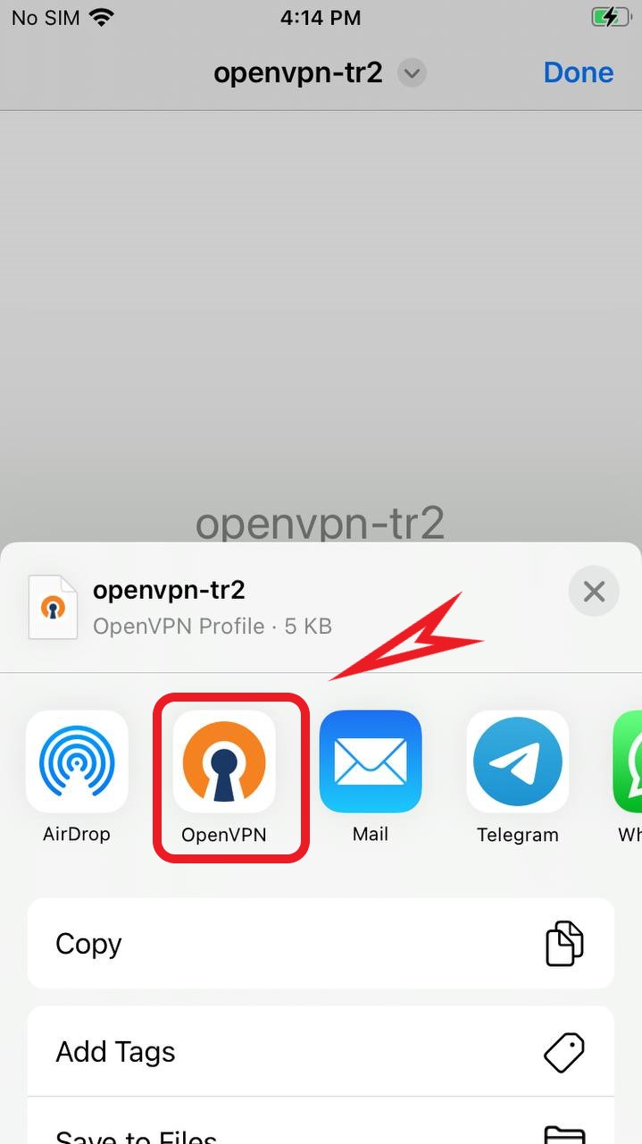 OPENVPN-ios-doc(6)